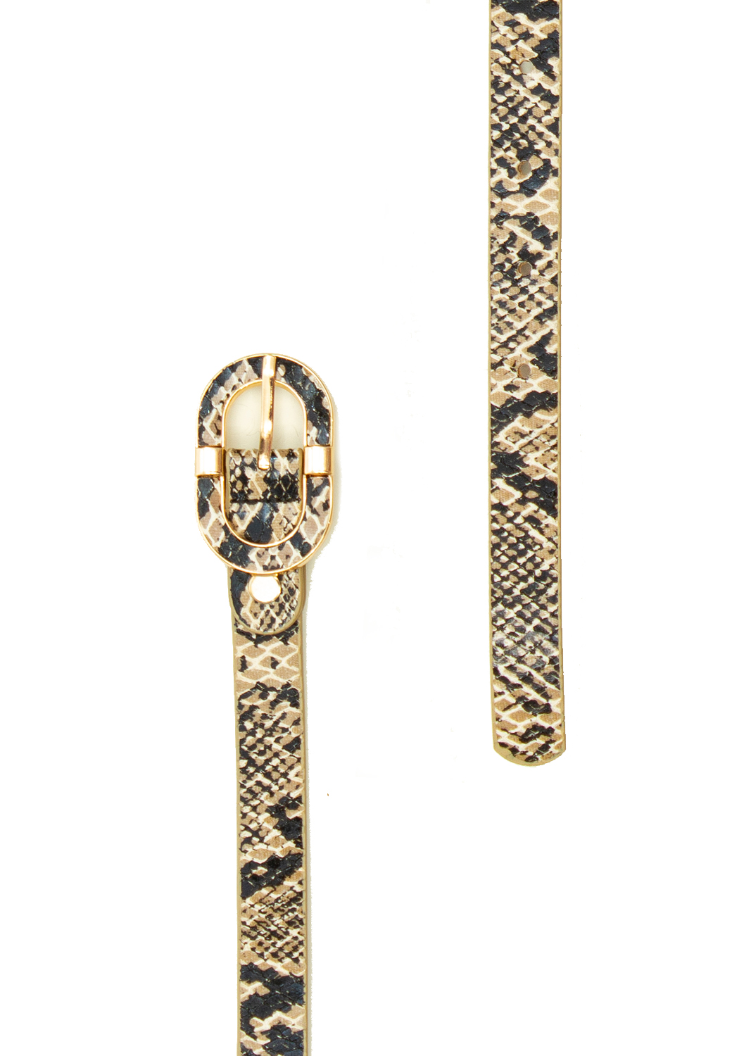 CINTURA FAKE SNAKE 90%PU+10%METAL, MADE IN PRC                